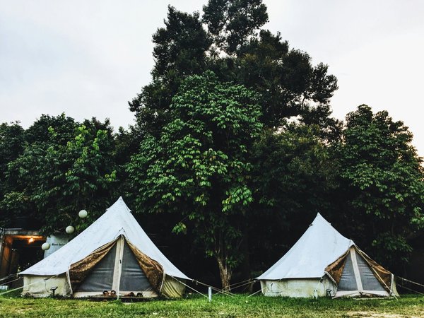Où trouver les meilleures expériences de glamping dans la forêt amazonienne ?